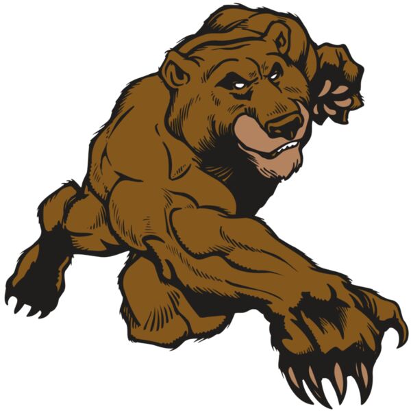 AR BEAR 29 RC Thumbnail