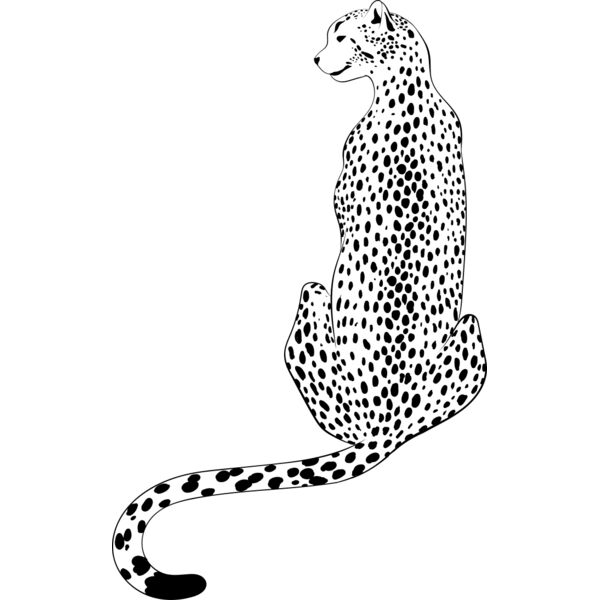 Leopard   Clipart 4 Thumbnail