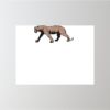 24" x 18" Corrugated Plastic Sign Thumbnail