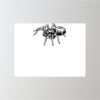 24" x 18" Corrugated Plastic Sign Thumbnail