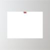 24" x 18" Corrugated Plastic Sign Thumbnail