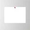 24" x 18" Corrugated Plastic Sign Thumbnail