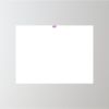 24" x 18" Corrugated Plastic Sign Thumbnail
