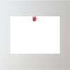 24" x 18" Corrugated Plastic Sign Thumbnail