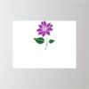 24" x 18" Corrugated Plastic Sign Thumbnail