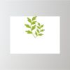 24" x 18" Corrugated Plastic Sign Thumbnail