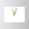 24" x 18" Corrugated Plastic Sign Thumbnail