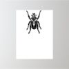 18" x 24" Corrugated Plastic Sign Thumbnail