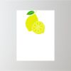18" x 24" Corrugated Plastic Sign Thumbnail