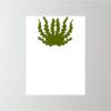 18" x 24" Corrugated Plastic Sign Thumbnail
