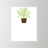 18" x 24" Corrugated Plastic Sign Thumbnail