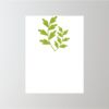18" x 24" Corrugated Plastic Sign Thumbnail