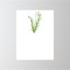 18" x 24" Corrugated Plastic Sign Thumbnail