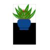 SDH ID Badge Thumbnail