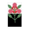 SDH ID Badge Thumbnail