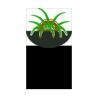 SDH ID Badge Thumbnail