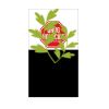 SDH ID Badge Thumbnail