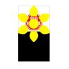 SDH ID Badge Thumbnail