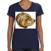 Ladies Perfect V-Neck T-Shirt Thumbnail