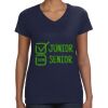 Ladies Perfect V-Neck T-Shirt Thumbnail