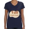 Ladies Perfect V-Neck T-Shirt Thumbnail