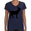 Ladies Perfect V-Neck T-Shirt Thumbnail